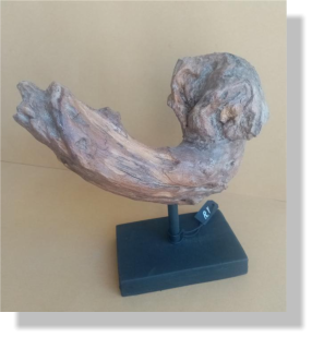 PABR� 2021   18�   18X7X18 cm.