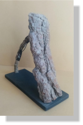 CATAPULTA 2022   18�   19X7X18 cm.