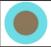 CENTRE TRAUMATOL�GIC OLIVER