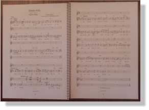 Sblada Falls.  Libretto amb partitures 20�  A4