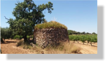 Pedra seca a Banyeres del Pened�s, Tarragona