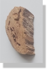 Fermall RUSTIC 7�  Cep, vern�s natural